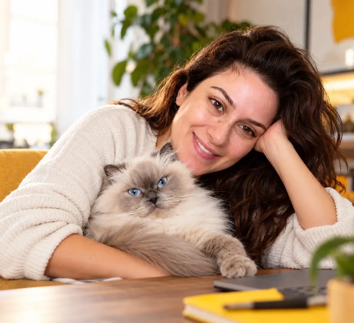 PetsGo co-founder Meryem at home with her adopted Himalayan cat Peti.