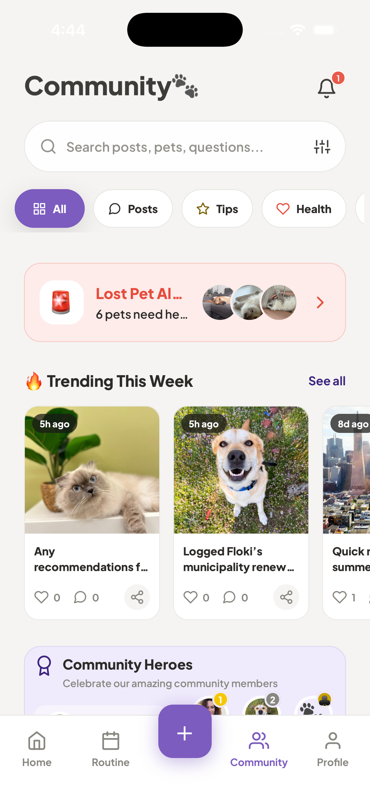 PetsGo community screen showing UAE community filters and local post feed.