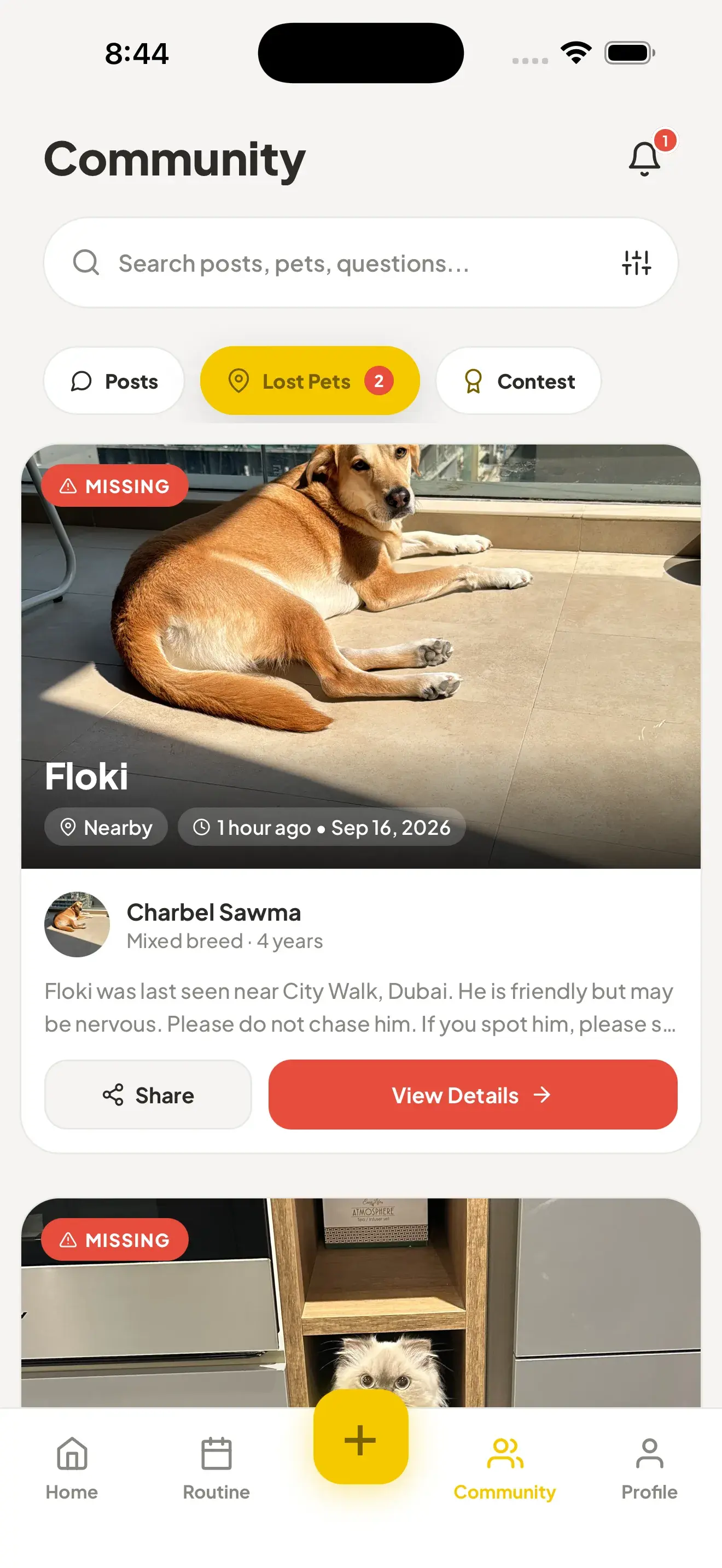 PetsGo Lost Pets feed showing active missing pet alerts near the owner.