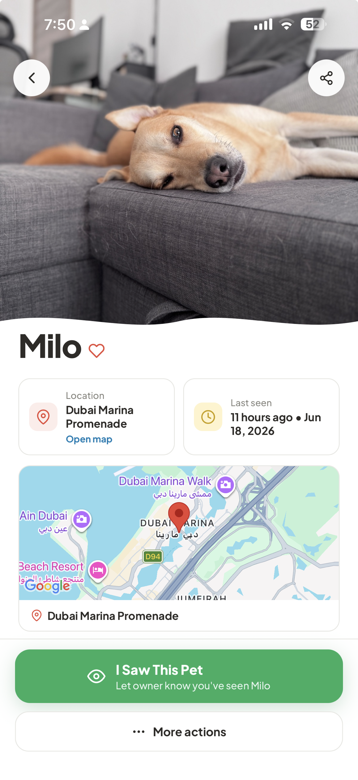 PetsGo lost pet detail screen for Milo showing a Dubai Marina map, last-seen details, and an I Saw This Pet button.