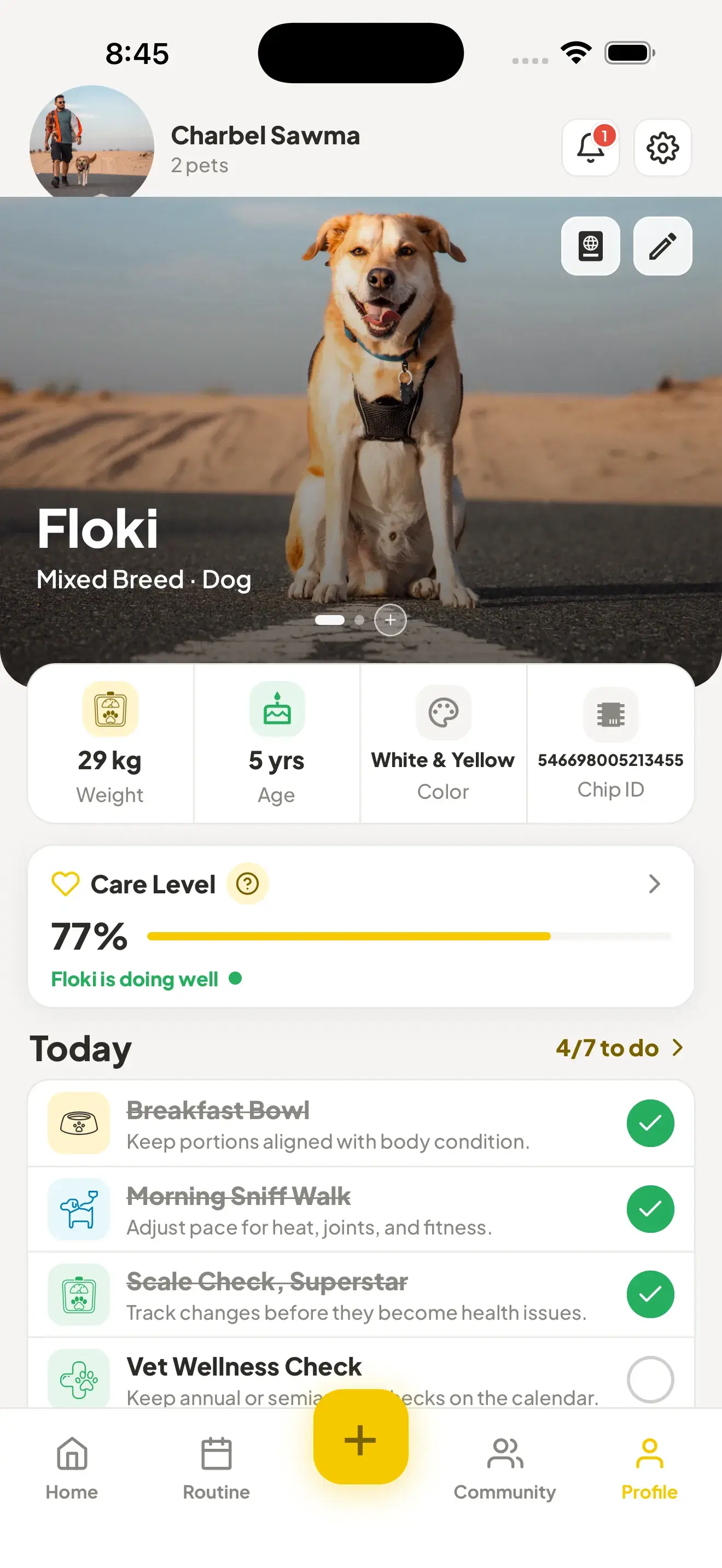 PetsGo pet profile screen with weight, age, chip ID, care level and to-do list.