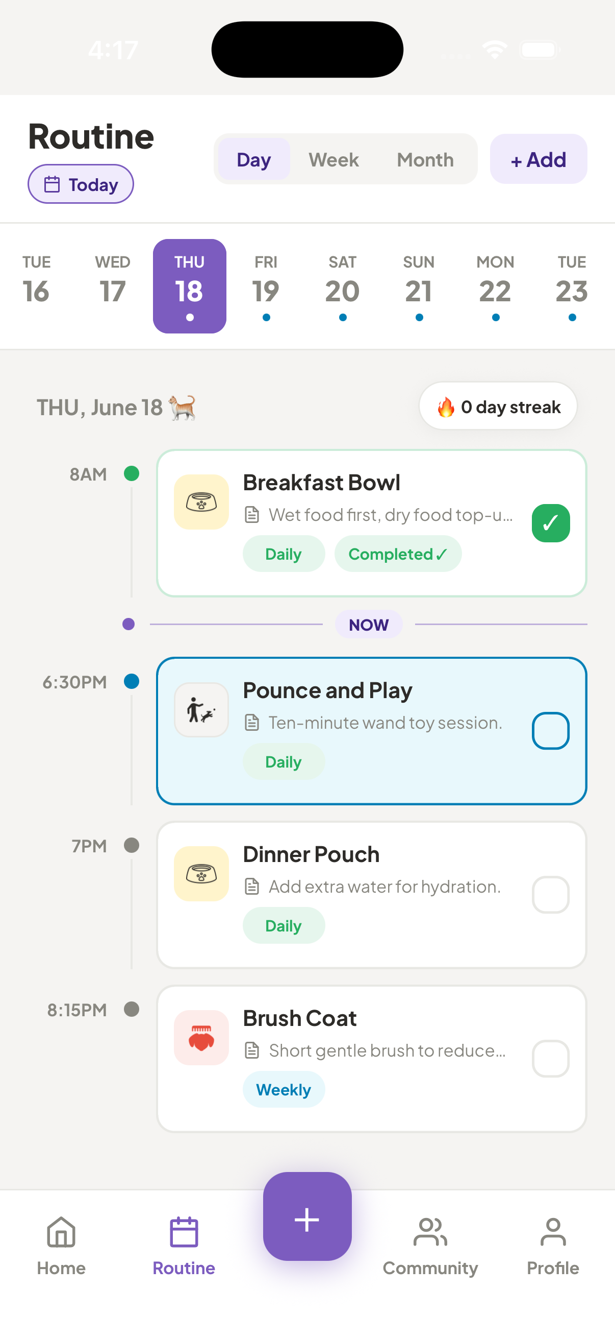 PetsGo routine screen showing Peti daily tasks including breakfast, play, dinner, and brushing.